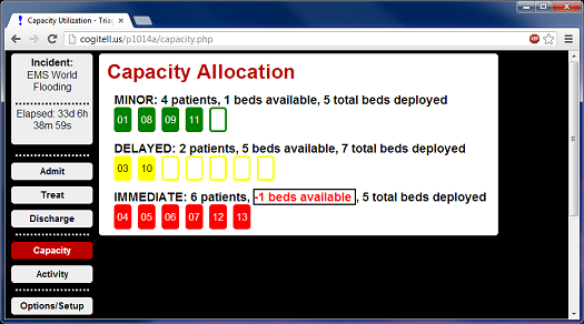 screenshot of triage site capacity report